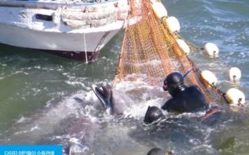 일본의 작은 마을에 트윗이 날았다