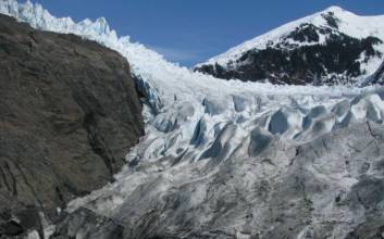 PERISCOPE | ENVIRONMENT - 유행병의 근원은 기후변화?