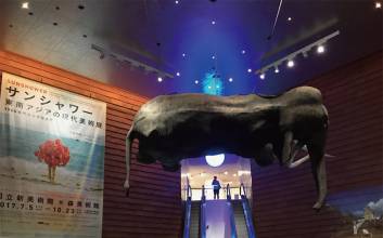 [이지윤의 art TALK(2)] 동경에서 열린 '선 샤워' 전