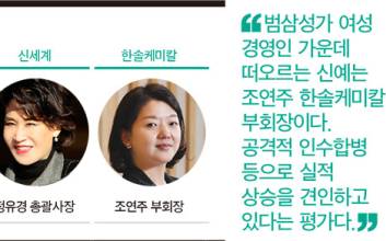 [‘꼭꼭 숨은’ 오너가 여성 경영인 성적표는?] 범삼성가 조연주(한솔케미칼) ‘주목’ 이지선(신성이엔지)·최현수(깨끗한나라)는 실적·주가 모두 잡아