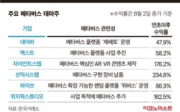 메타버스 '제 2의 정치 테마주' 되나…묻지마 투자 주의보