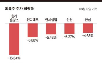 휠라홀딩스 폭락… 경기회복 둔화 우려에 의류주 ‘된서리’