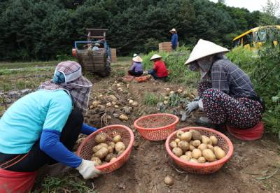 외국인 근로자 고용허가 신청 개시…서비스업도 포함