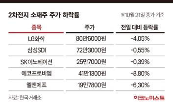 테슬라 ‘배터리 교체’ 한 마디에 국내 2차전지 소재주 ‘흔들’