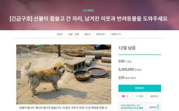 와디즈, 우크라이나·산불 ‘긴급구호’ 펀딩…3일 만에 1000만원