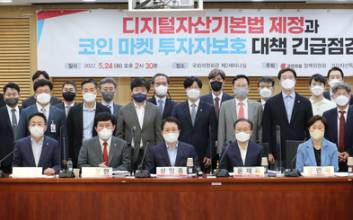 금융당국 “스테이블코인 규제 검토…루나 관련 업체 현장점검”