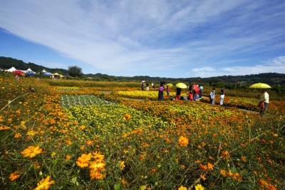 이달 말부터 '주 3일' 살기만 하면 인당 15만원 준다…조건은?