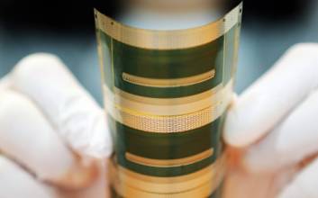 삼성전자·SK하이닉스 시들한 사이…'이 종목'들이 떴다