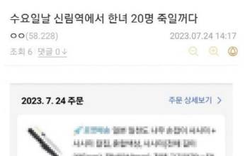 ‘신림역 살인예고’ 구속영장…추가 협박 글 IP추적 나서