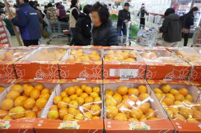 "설 전에 천혜향 싸게 판대"…전국 마트·온라인서 20~30% 할인