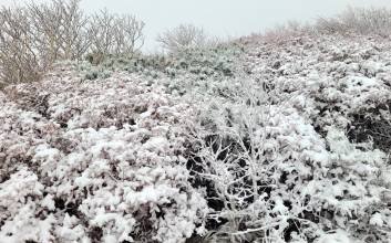 설악산 첫 눈에 '체감온도 -9.8도'…제주는 11도 급락 [날씨]
