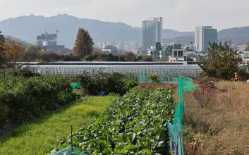정부, 그린벨트 풀어 5만가구 공급…서초·고양·의왕·의정부 등 4곳 후보