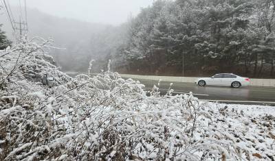 삼성화재연구소 "12월 미끄럼 교통사고 급증"