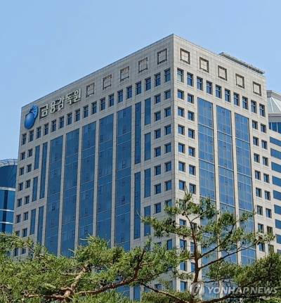 '대선 전 활개 주의보' 금감원, 정치테마주 과열 특별단속 확대