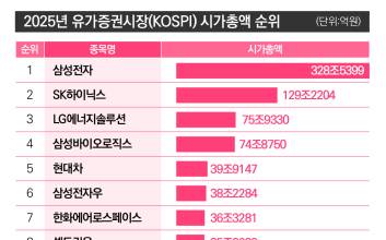 2025년, 삼성전자 이후를 묻다…KOSPI 왕좌의 주인은?