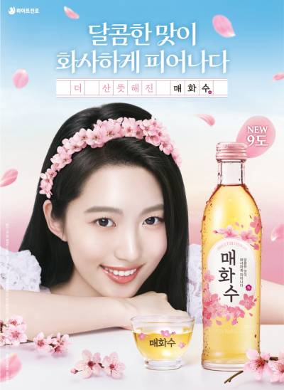 하이트진로, 매실주 브랜드 ‘매화수’ 전면 리뉴얼
