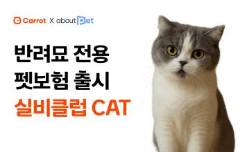 캐롯, 반려묘 전용 펫보험 ‘실비클럽 CAT’ 출시