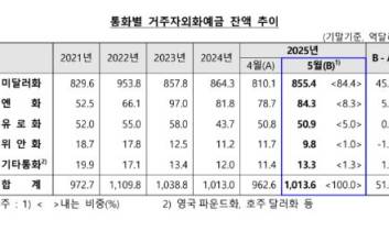 5월 거주자 외화예금 넉 달 만에 반등…51억달러 늘어