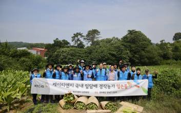 KT&G, 농가와 상생 실천 위해 19년째 잎담배 수확 봉사활동