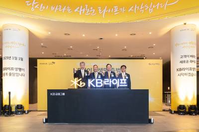 "비은행 이익 비중 높여라"...보험사 인수한 금융지주사, 얼마나 성장했나