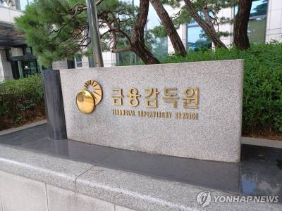 금감원 직원들 호소문 제출…"금소처 분리, 실효성 없다"