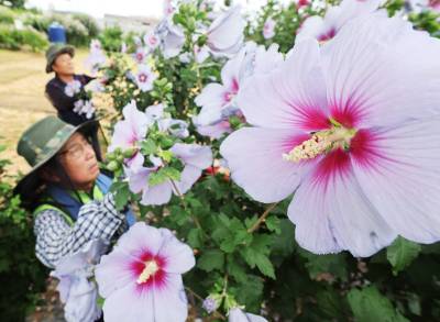 "제헌절, 다시 쉬면 좋은 점은"…15년 만에 공휴일로 부활하나