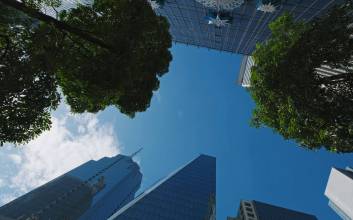 ESG 보상의 함정…형식적 도입은 ‘그린워싱’ 일 뿐 [대신경제연구소 ESG인사이트]