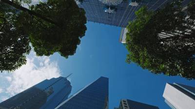 ESG 보상의 함정…형식적 도입은 ‘그린워싱’ 일 뿐 