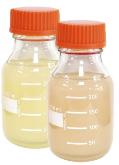 에버켐텍, 친환경 코팅제 넥스리어·TPS OPV로 LFGB·REACH·FDA 트리플 인증 달성