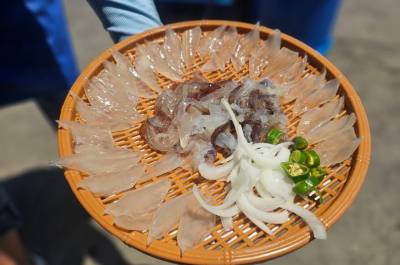 '이게 맞아?' 오징어 2마리 5만6000원? '속초 난전' 바가지 논란