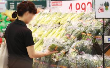 폭염·폭우에 시금치값 171.6% 올라…7월 생산자물가 두달 연속 상승