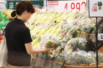 폭염·폭우에 시금치값 171.6% 올라…7월 생산자물가 두달 연속 상승