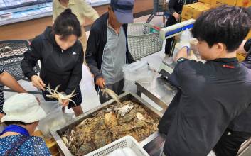 꽃게값 "10년來 가장 싸다"…대형마트·쿠팡까지 '최저가 전쟁'