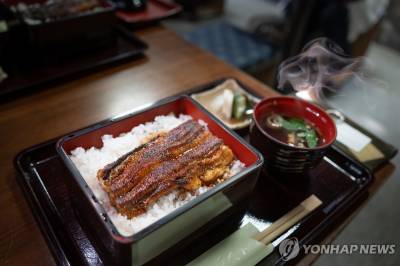 EU "장어 멸종 위기종" 지정 추진…日, 수입 규제 우려 '비상'