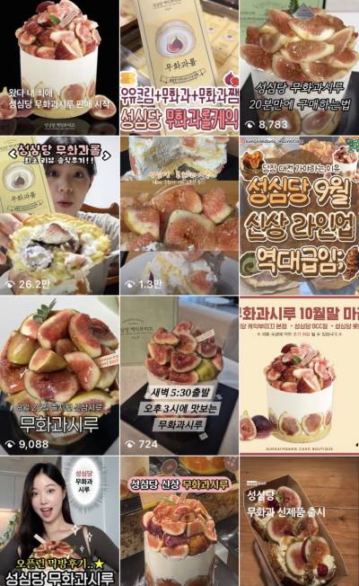 케이크에 가을 담았다…돌아온 성심당 ‘무화과시루’ 