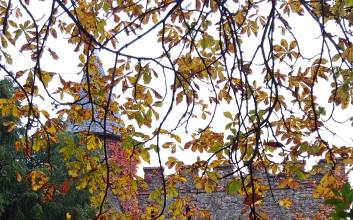 한 잔의 부르고뉴 와인에 모든 것이 녹아있다 [와인 인문학]