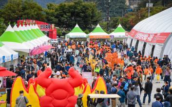 문경약돌한우축제, 31일 개막..."한우 150마리 분량 판매"