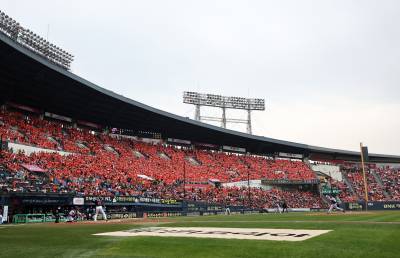 '999만원 암표 티켓'까지 등장…국감서 근절 대책 미비 질타