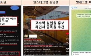 "텔레그램방서 '제2의 엔비디아'라고 했는데"…'이런 주식' 조심해야