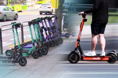 '킥라니 OUT' 시민 98% 찬성…도로 위 무법자 사라지나