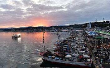 "수산물 해체쇼부터 활어잡기까지" 울진 죽변항서 수산물축제