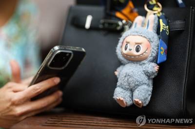 "라부부 열풍, 거품 빠지나"…검색량·리셀가 동반 급락