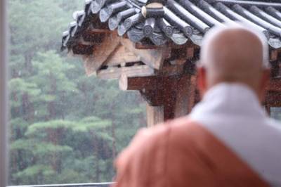 "13년 일했는데 월급 못 받아"…스님, 임금소송서 패소 왜?