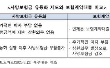 사망보험금을 연금으로...'유동화 제도' 초기 반응은