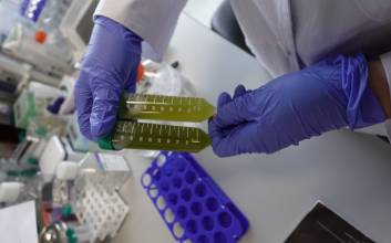 K-뷰티의 ‘원료 독립’ 선언... 중소기업이 일궈낸 ‘시카(Cica)’ 국산화의 기적