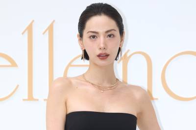 '강도 제압' 나나, 정당방위 논란에…경찰 내린 결론은