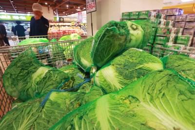 "김장철 배추의 '갈색 점', 곰팡이 아니다…안심하고 먹어도 괜찮다"