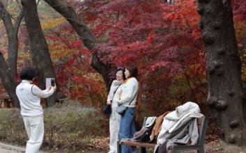 낮부터 ‘따뜻’한 주말…밤 사이 비 소식