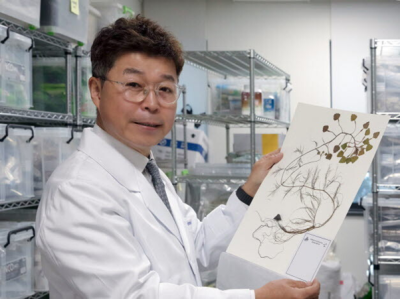 경희대 김호철 교수, WHO 선정 ‘세계 21대 혁신’ 선정