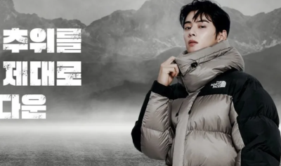 차은우 패딩 ‘거위털’ 아니라고?…재활용 오리털 넣은 노스페이스 결국 ‘환불’